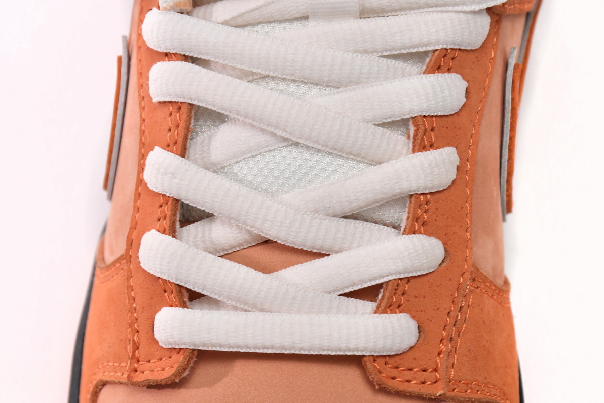Concepts x Nike SB Dunk Low “Orange Lobster” FD8776-800 - Image 7