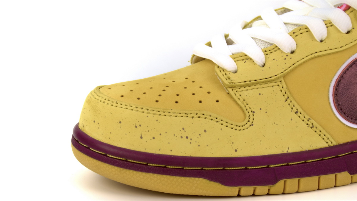 Concepts x NK SB Dunk Low "Yellow Lobster 313170-137566 - Image 8