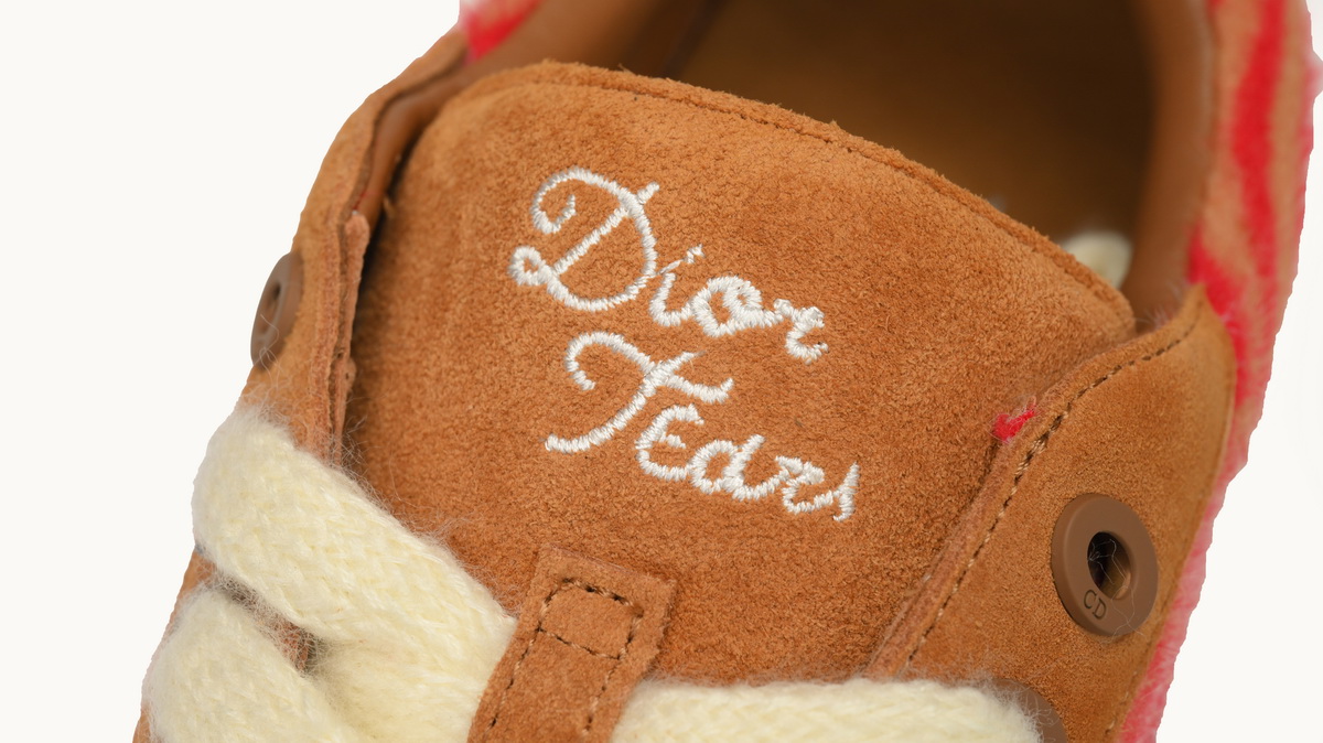 Dior B33 Sneakers  Release Brown Red Stripes 3SN272 ZIR1 6536 - Image 8